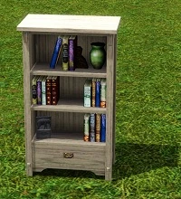 ShelvesdelLibro