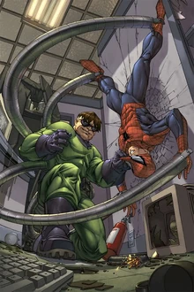 Octopus vs Spider