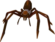 Huge spider
