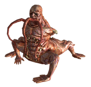 Centaur