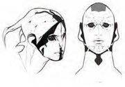 Drell (cara)