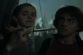 Crouch wand.JPG
