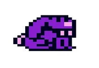 Purple rabbit