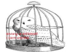 Hedwig10