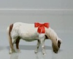 Wii Pony