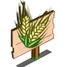 Double Grain