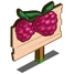 Straspberry