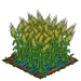Double Grain extra100