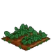 Straspberry 66