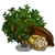 Cocoa Tree-icon.png