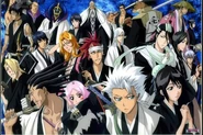 Bleach