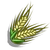 Double Grain-icon