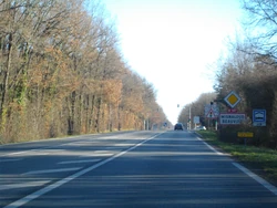 N147 (7)