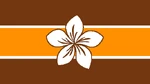 AlohaFlag