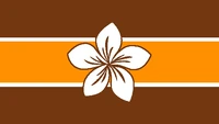AlohaFlag
