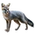 Item grayfox 01