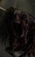 Stalker2 DS2