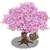 Kissing Tree-icon.png