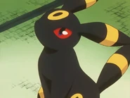 Tamao Umbreon