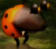 Orange bulborb