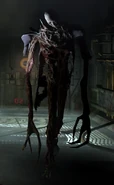 Divider DS2