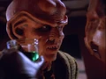 Fallit Kot threatens Quark.jpg