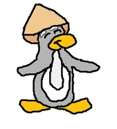 Sensei2
