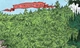 Twilightwoods.jpg