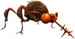 Chigoe 1 (FFXI).png