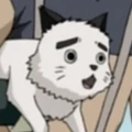 PochiAnime