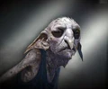 DH Kreacher concept artwork01.jpg