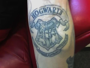 Harry Potter3