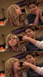Seddie 236