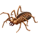 Item sunspider 01