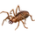 Item sunspider 01