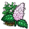 Peppermint-icon.png