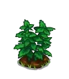 Peppermint Sapling-icon.png