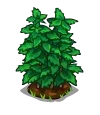 Peppermint Big-icon.png