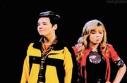 Seddie 305
