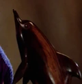 Dolphin sculpture.jpg