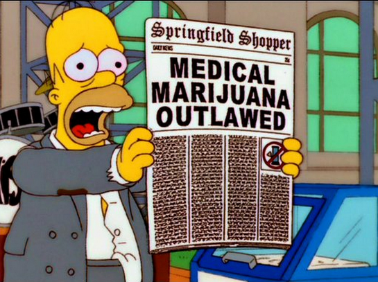 545px-Springfield_Shopper_DABF11.png