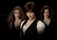 ImagesCA9EM4UX