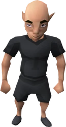 Gnomeball referee