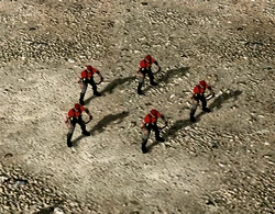 CNCTW Fanatics In-game