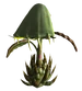Spore plant
