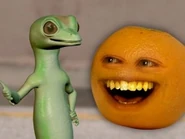 Gecko