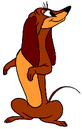 Dinah