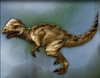 Carnivores Pachycephalosaurus