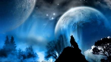 Wolf-howling-wallpaper