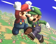 Mario Luigi Brawl